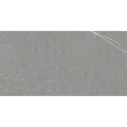 Capri Grey Matt Ceramic Wall Tiles - 300mm x 600mm