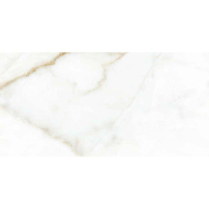 Goldman Gloss Ceramic Wall Tiles - 300mm x 600mm