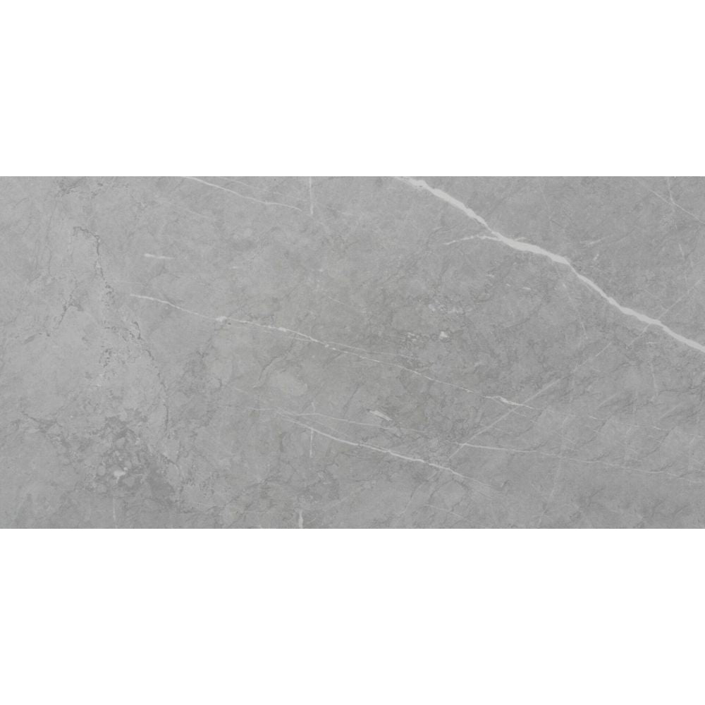 Penshaw Grey Matt Ceramic Wall Tiles - 250mm x 500mm