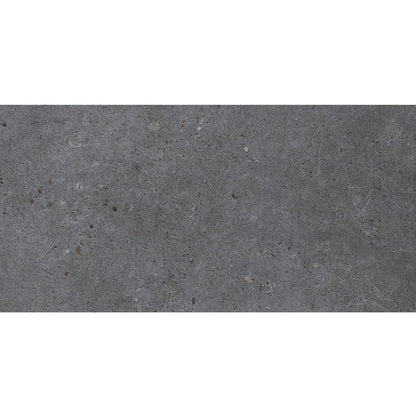 Siena Light Grey Matt Porcelain Wall & Floor Tiles - 300mm x 600mm